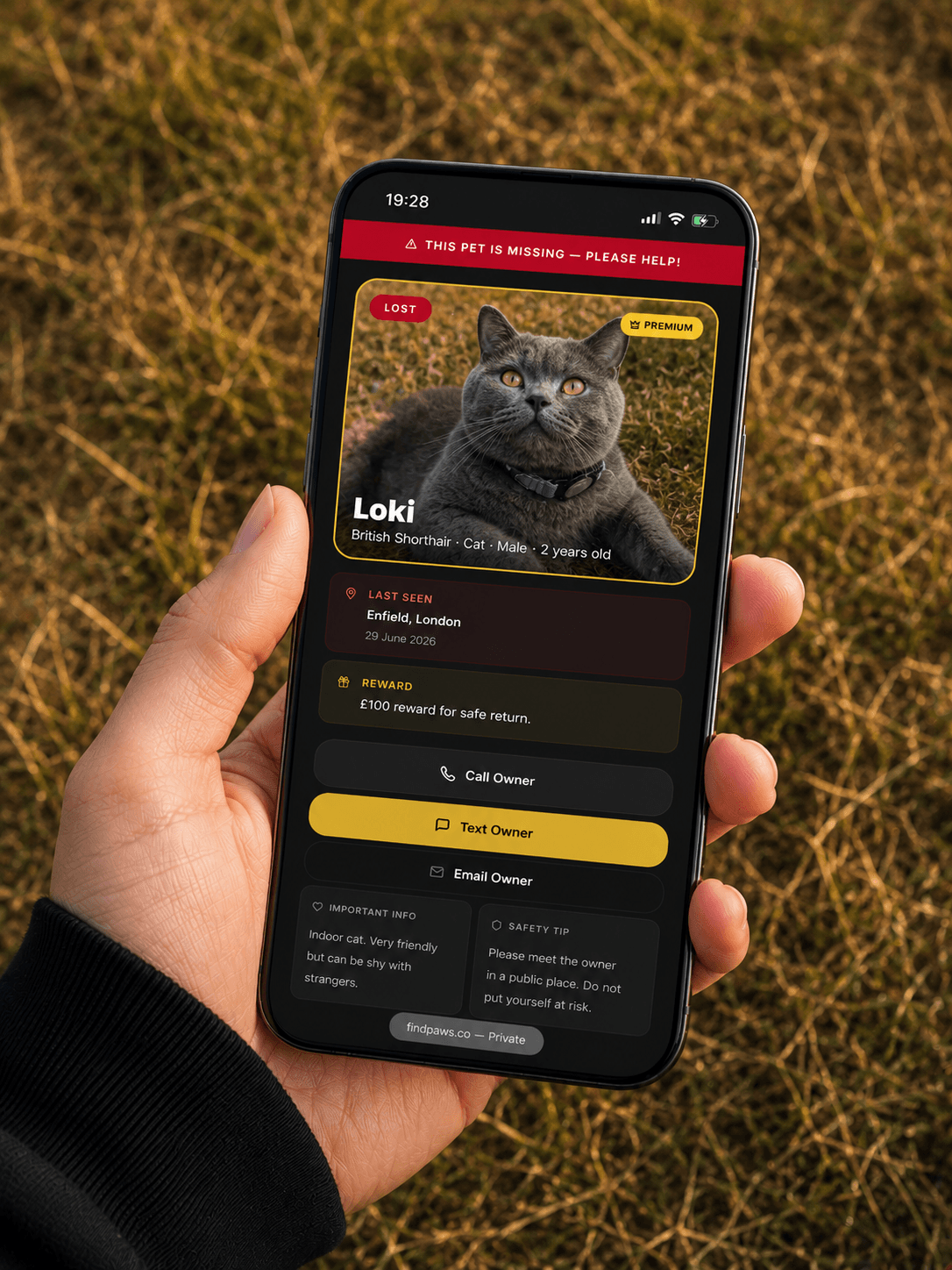 Loki's FindPaws pet profile open on a phone